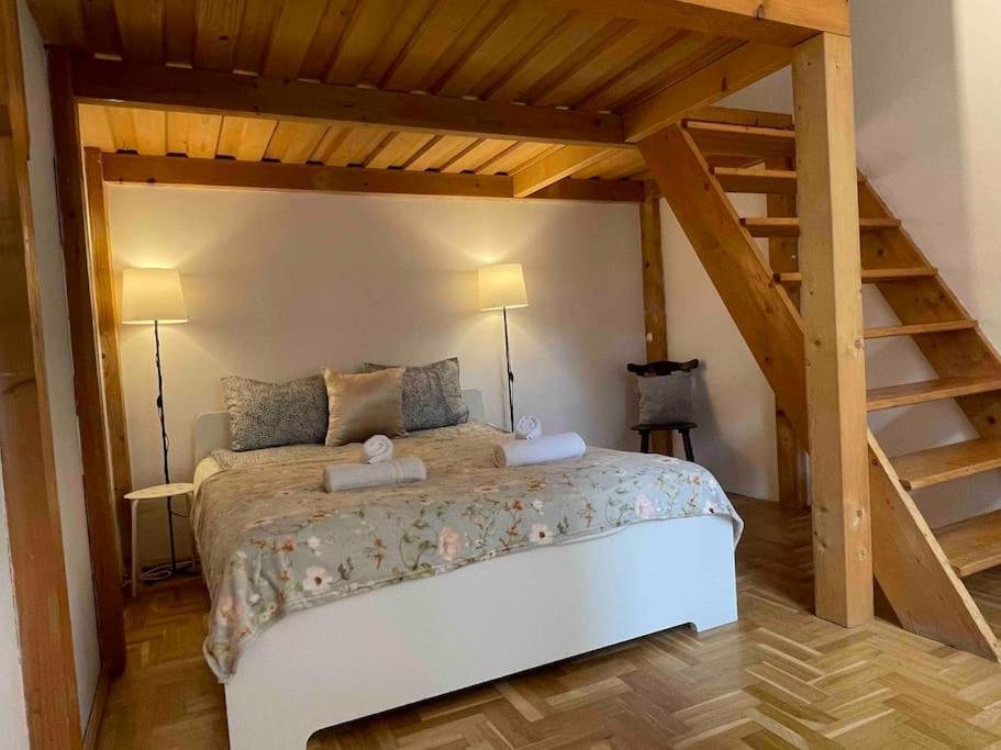 Apartment Knezits Spacious Ac Terrace Free Parking Budapest
