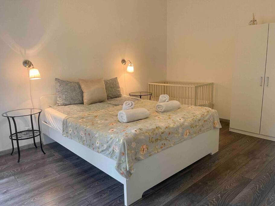 Knezits Spacious Ac Terrace Free Parking Apartment Budapest