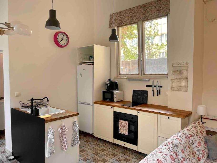 Knezits Spacious Ac Terrace Free Parking Apartment