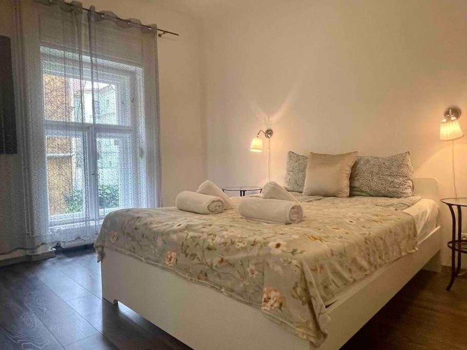 Knezits Spacious Ac Terrace Free Parking Apartment Budapest